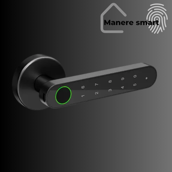 mâner smart Hong Kong cu amprentă digitală, cod PIN, bluetooth – smart lock interior pentru uși [2]