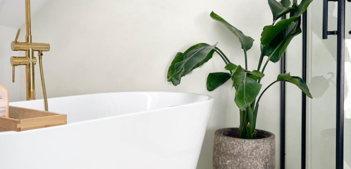 microciment-festfloor-life-bicomponent-necolorat-ral-ncs.jpg [5]