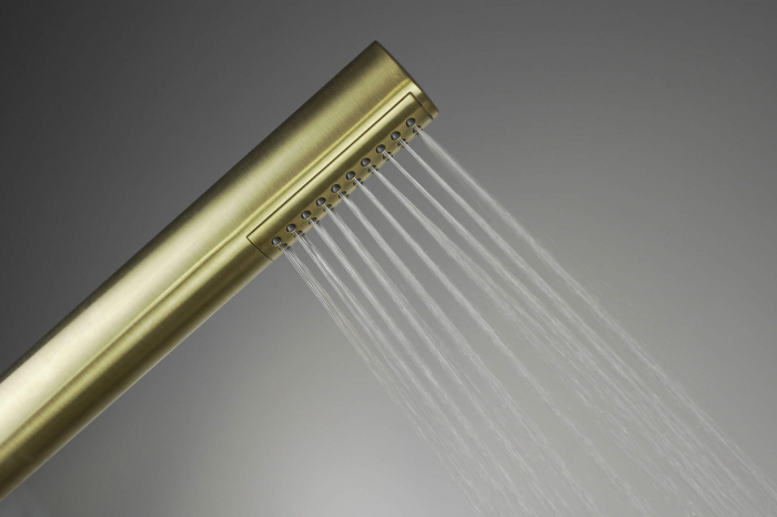 Pălărie de duș, cu baterie de duș, Deante, Silia,auriuiu periat [9]