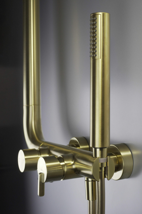 Pălărie de duș, cu baterie de duș, Deante, Silia,auriuiu periat [6]