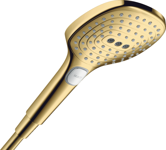 PARA RAINDANCE SELECT E120  3 JET, POLISHED GOLD OPTIC [1]