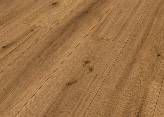 Pro Nature Andes            [1]