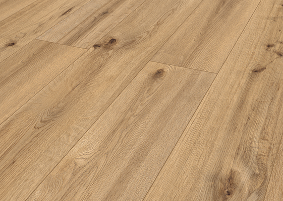 Pro Nature Soacha          [1]