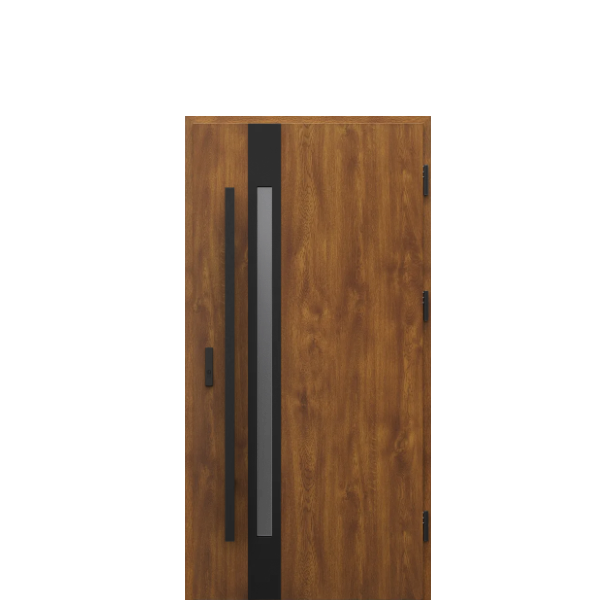 Usa de exterior din otel  Porta Thermo  Glass G2 [1]