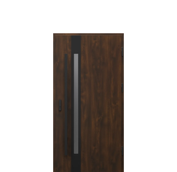 Usa de exterior din otel  Porta Thermo  Glass G2 [1]