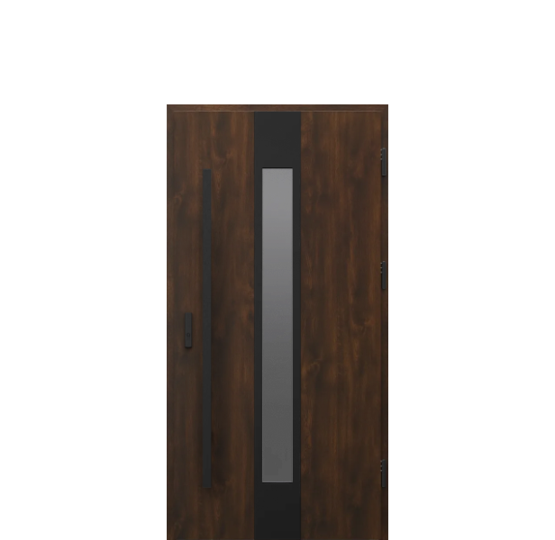 Usa de exterior din otel  Porta Thermo  Glass G3 [1]