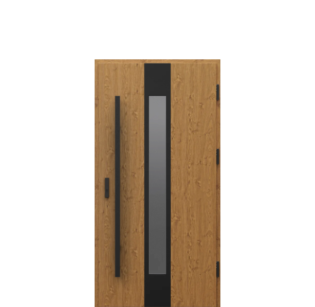 Usa de exterior din otel  Porta Thermo  Glass G3 [1]