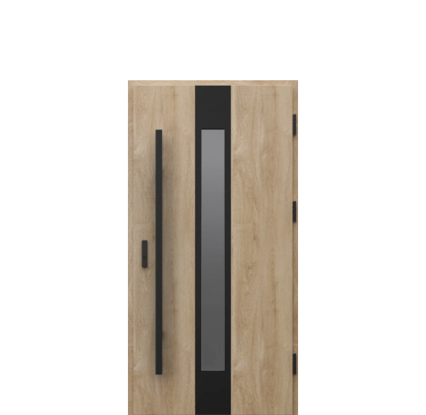 Usa de exterior din otel  Porta Thermo  Glass G3 [1]