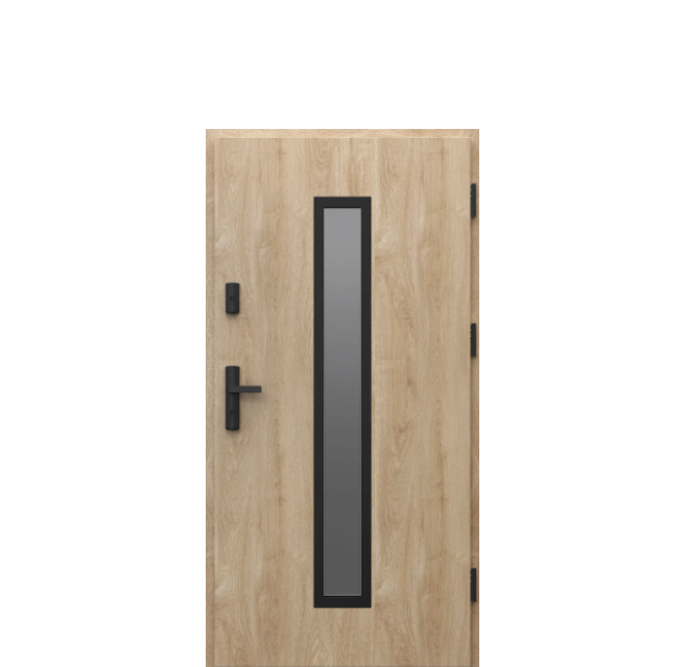 Usa de exterior din otel  Porta Thermo  Glass G4 [1]