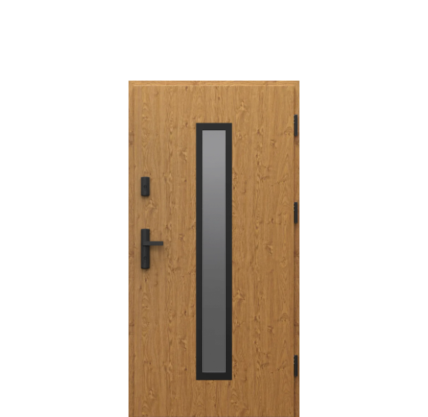 Usa de exterior din otel  Porta Thermo  Glass G4 [1]