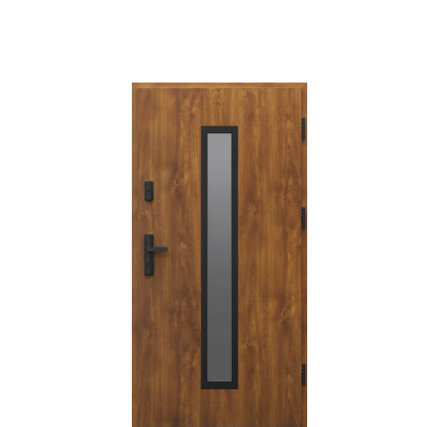 Usa de exterior din otel  Porta Thermo  Glass G4 [1]