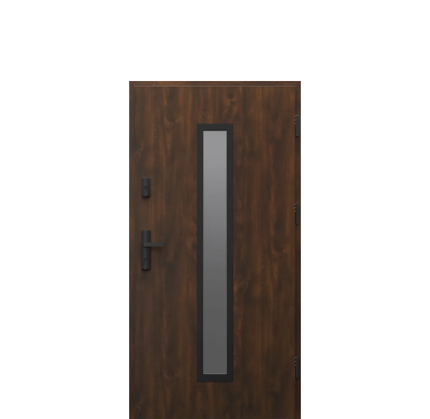 Usa de exterior din otel  Porta Thermo  Glass G4 [1]