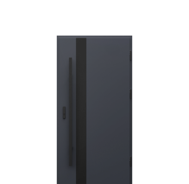 Usa de exterior din otel  Porta Thermo  Modern 2 [1]