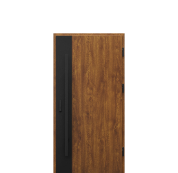 Usa de exterior din otel  Porta Thermo  Modern M3 [1]