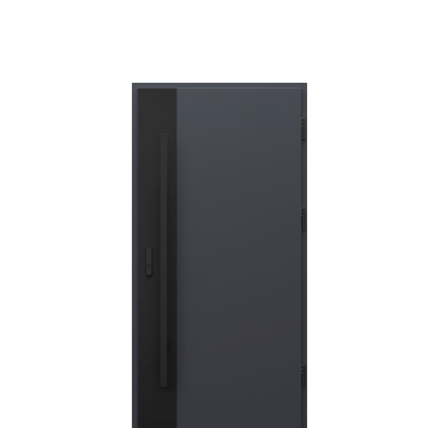 Usa de exterior din otel  Porta Thermo  Modern M3 [1]