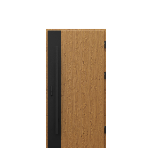 Usa de exterior din otel  Porta Thermo  Modern M3 [1]