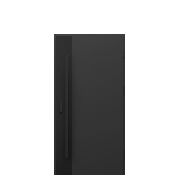 Usa de exterior din otel  Porta Thermo  Modern M3 [1]