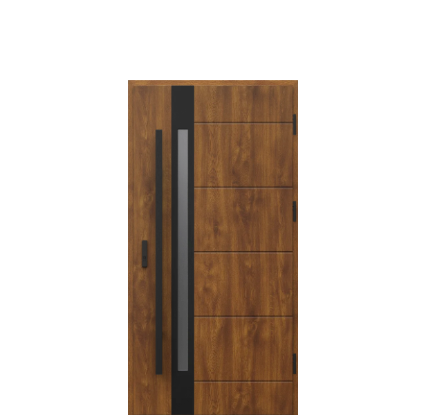 Usa de exterior din otel  Porta Thermo  Modern G1 [1]