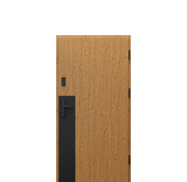 Usa de exterior din otel  Porta Thermo  Modern M4 [1]