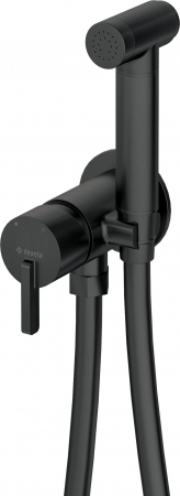 Baterie pentru bideu, îngropat, cu duș de mână tip bidetta, Deante, Silia,Negru