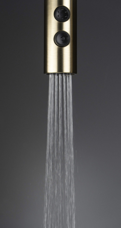 Baterie pentru bucătărie, cu pipă extractibilă - 2 Funcții [5]