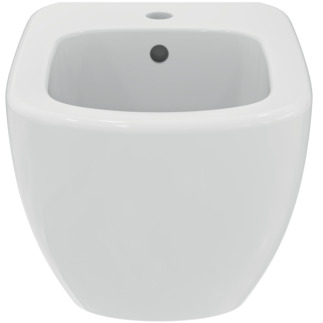 BIDEU TESI SUSPENDAT NOU [1]