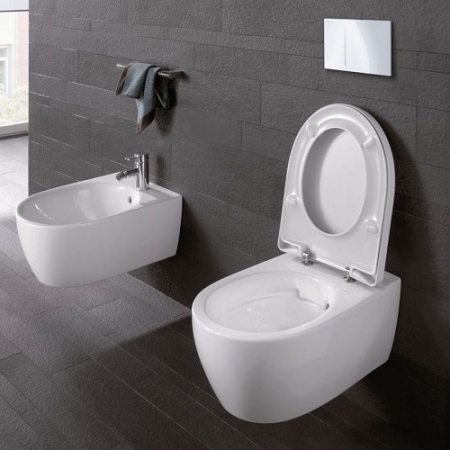 BIDEU SUSPENDAT ICON  [4]