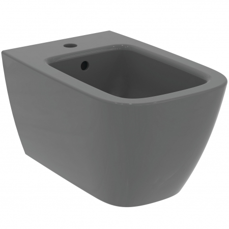 Bideuri - BIDEU I.LIFE B SUSPENDAT 54X35.5, FIXARE COMPLET ASCUNSA, GRI LUCIOS