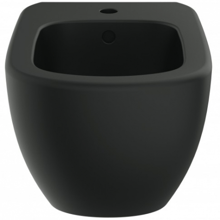 BIDEU TESI SUSPENDAT, FIXARE COMPLET ASCUNSA 53X36 SILK BLACK [1]