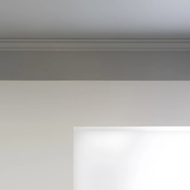 orac-cx177-cornisa-tavan-poliuretan-100x100-2000mm.jpg [1]