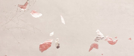 Faianta - FAIANTA YLICO PETALS 50X120 , 1.8 MP/CUTIE