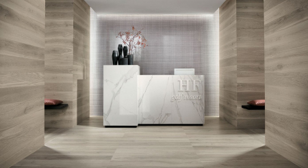 GRESIE FAPNEST 20X120 SILVER MATT [1]