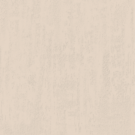 jeger-efect-crudo-italian-vopsea-decorativa-structurata.jpg [1]
