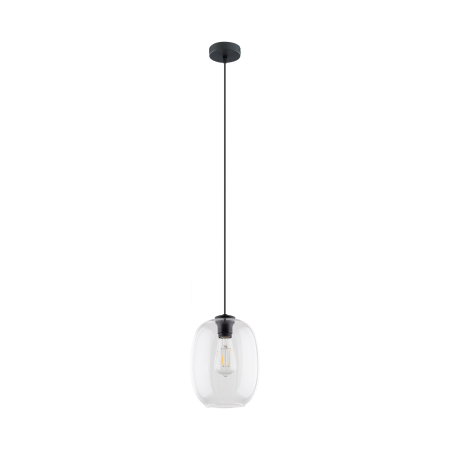 Iluminat interior si exterior - Lampă Suspendată TK Lighting ELIO Transparent, 1xE27