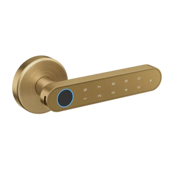 Usi si manere - mâner smart Hong Kong cu amprentă digitală, cod PIN, bluetooth – smart lock interior pentru uși,culoare auriu mat