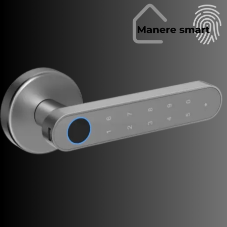 maner inteligent Hong Kong gri mat cu amprenta bluetooth wifi tuya maneresmart.ro [1]