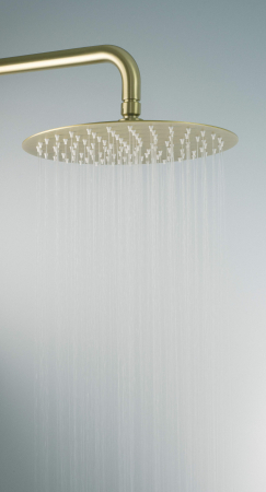Deante  baterie de duș,Arnika auriu mat [3]
