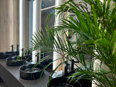 Panou SPC K365 Coast Evoke Oak - Design Natural Premium Kronospan [8]