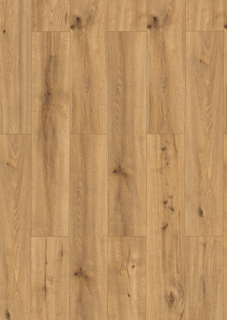 Parchet SPC placile de vinil Classen ,4 mm,AC 6 ,PRO NATURE SOLEDAD    [3]