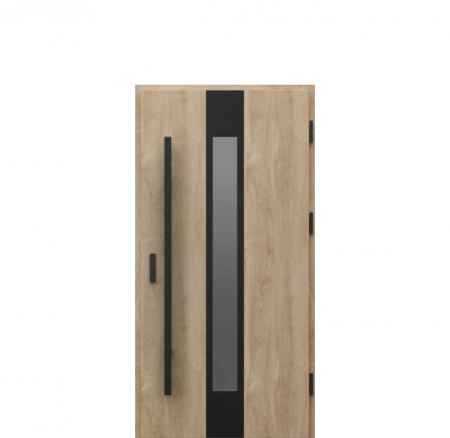 Usi intrare in casa - Usa de exterior din otel  Porta Thermo  Glass G3