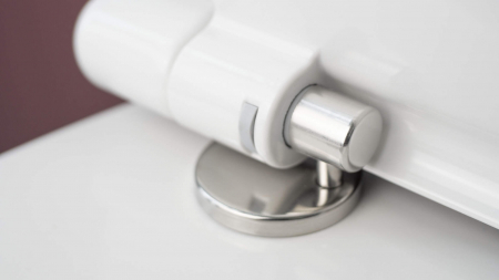 Vas de WC, cu capac, fără bordură, Deante, Silia,WHITE [4]