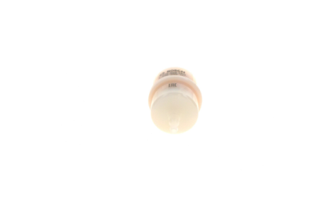 Bosch filtru combustibil universal [1]
