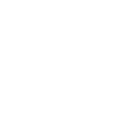 Transport gratuit la comenzile mai mari de 100 lei