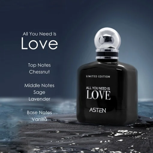 Apă de parfum All you need is love, Asten, barbati, 100 ml [1]