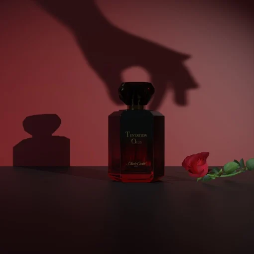 Apa de parfum, Diane Castel, Tentation Oud 100 ml, unisex [2]