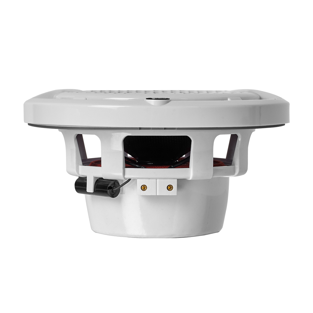 Difuzoare marine DLS A6XW 16.5 cm 80W [6]