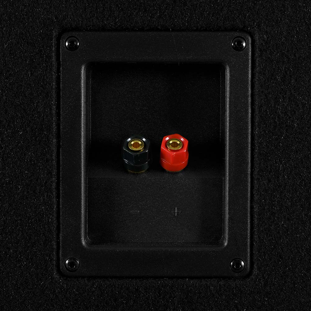 Subwoofer auto pasiv GAS MAD B1-110 250W cu incinta [6]