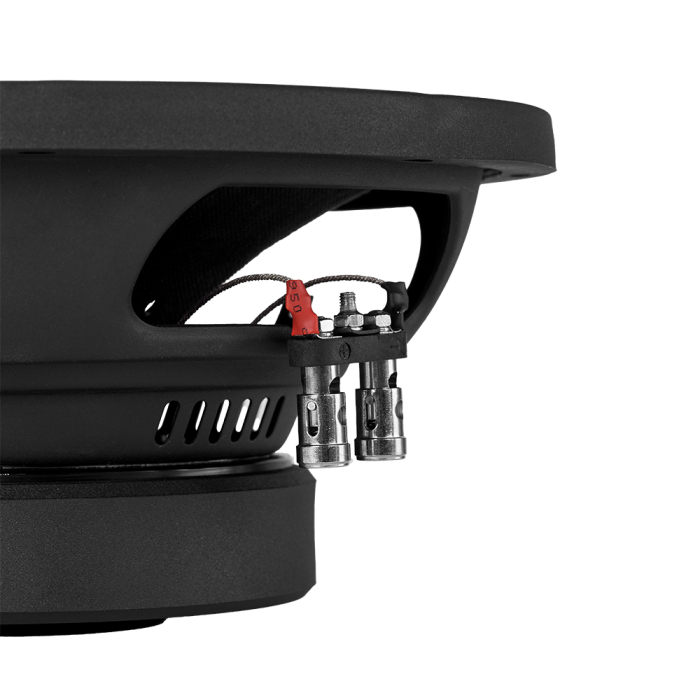 Subwoofer auto DLS PE10.D2 10 inch 300W 2 Ohm [6]