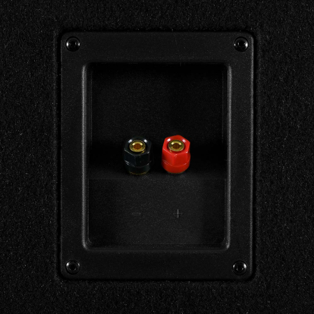 Subwoofer auto pasiv GAS MAD B1-110 250W cu incinta [5]