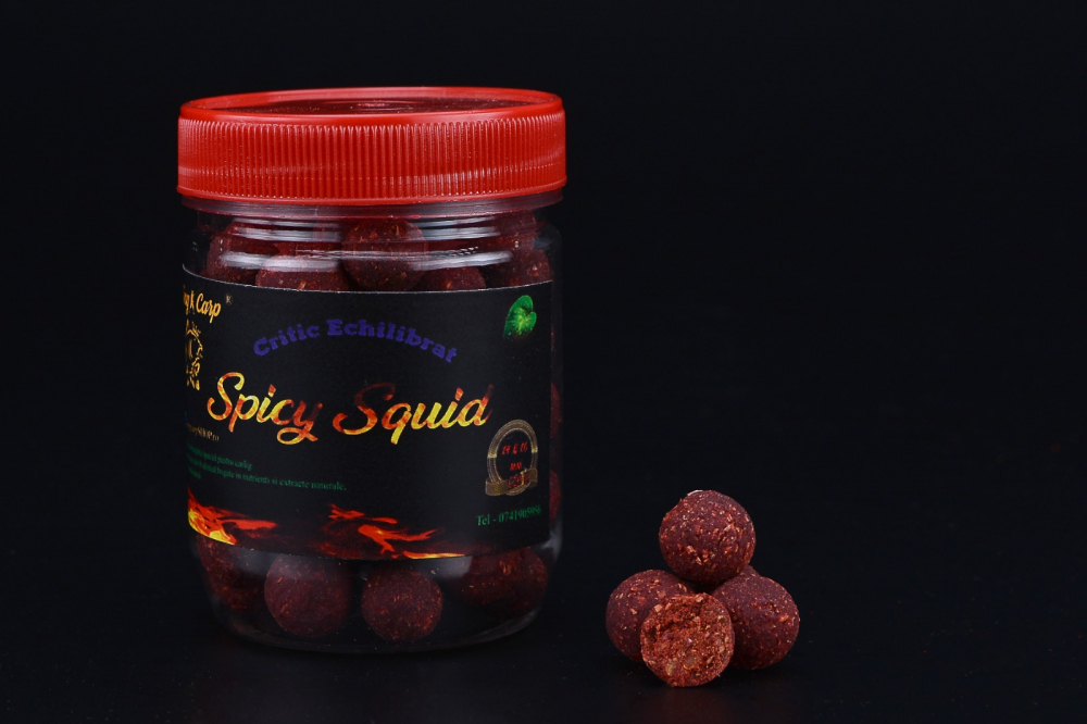 Spicy Squid Critic Echilibrat [1]